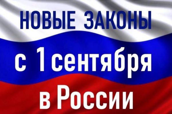 Новая жизнь